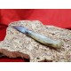 Coltello con manicatura in corno