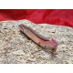Coltello tipo dorgalese Manicatura in montone