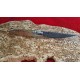 Coltello tipo pattadese con manicatura animata in corno montone