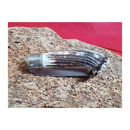 coltello con manicatura in cervo sardo